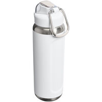 Wellspring termoflaske 0,71 liter, frost