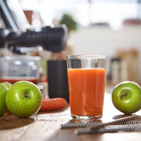 Viva Collection slowjuicer, sort
