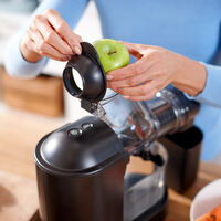 Viva Collection slowjuicer, sort