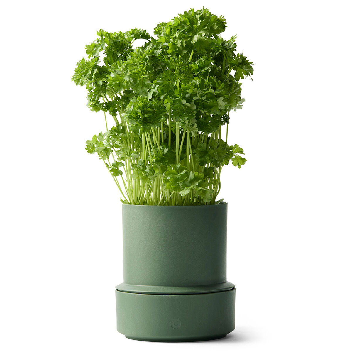 Billund selvvandings potte, parsley