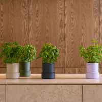 Billund selvvandings potte, parsley