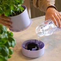 Billund selvvandings potte, parsley