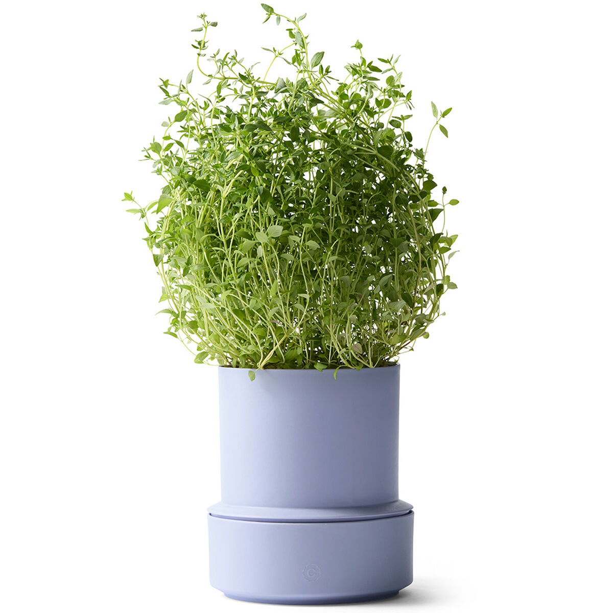 Billund selvvannende urtepotte, lavender