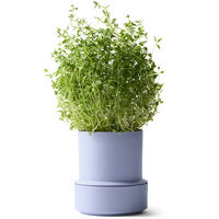 Billund selvvannende urtepotte, lavender