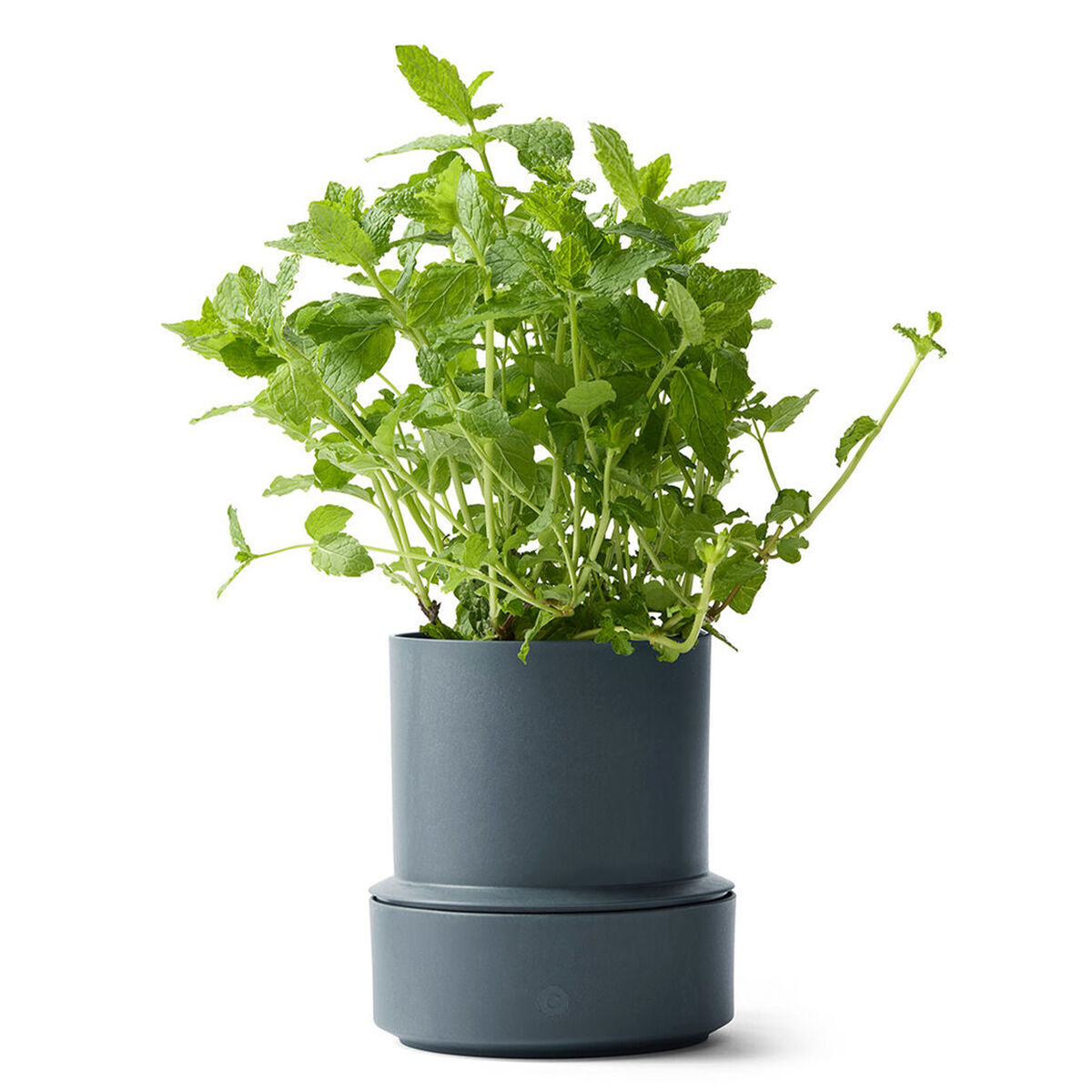 Billund selvvandings potte, blueberry