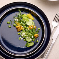 Gastro-assiett 21 cm, hvid/mørkeblå