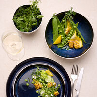 Gastro skål 12 cm, vit/mörkblå
