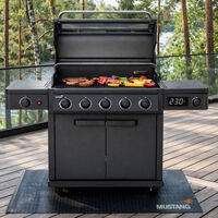 Charleston gasgrill 5+1