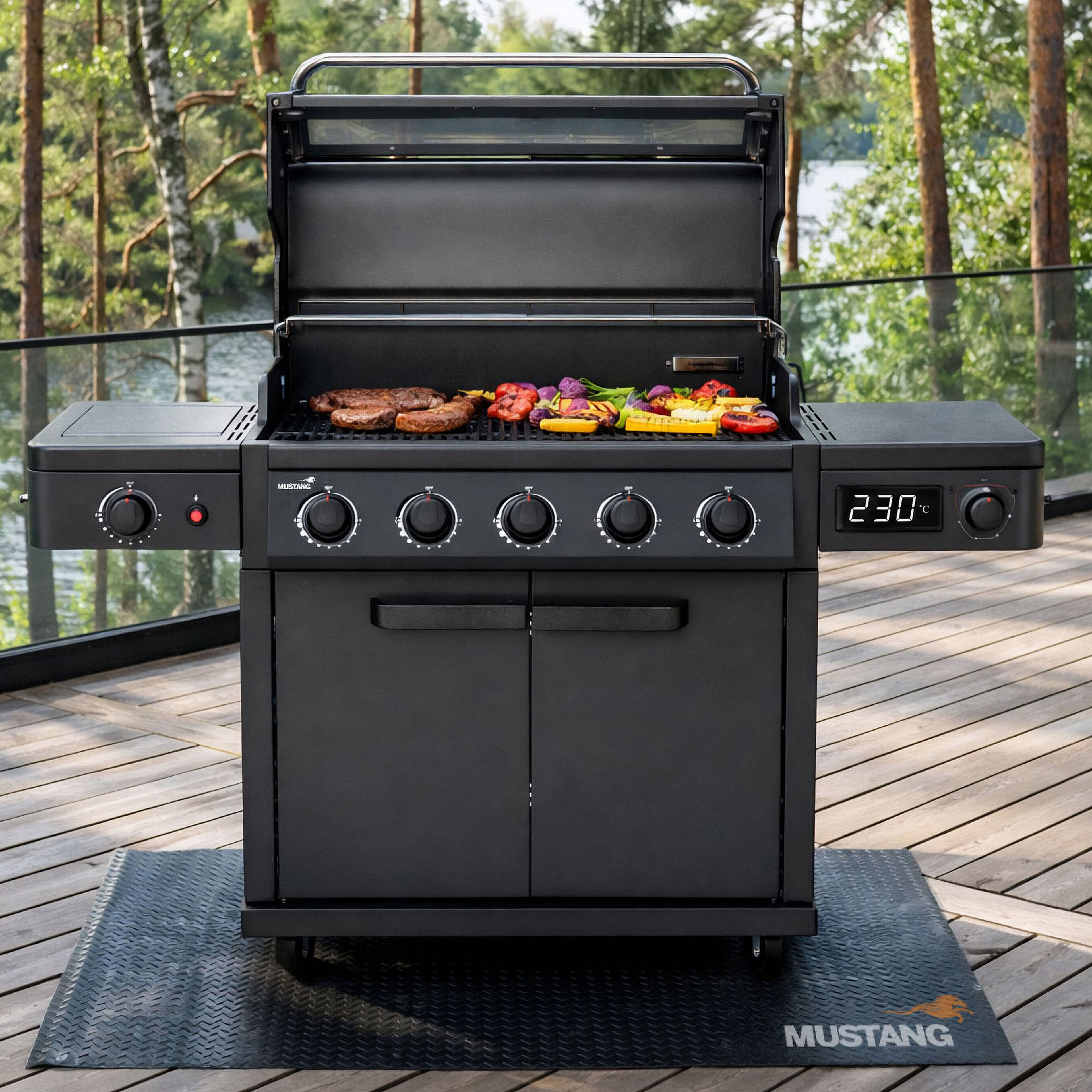 Charleston gasgrill 5+1