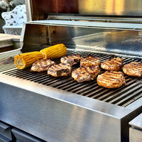 Bluegaz Z gasgrill, rustfrit stål/sort