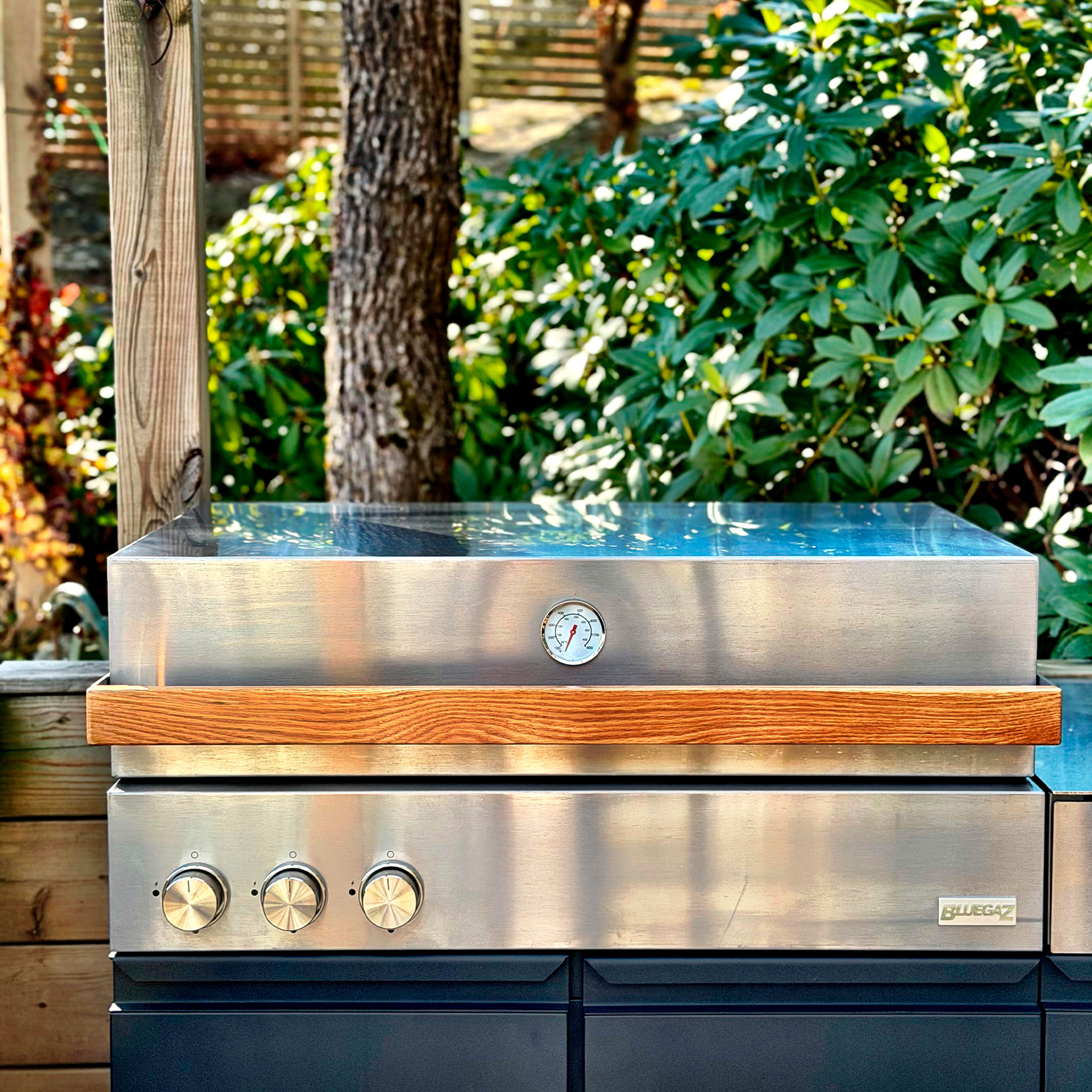 Bluegaz Z gasgrill, rustfrit stål/sort