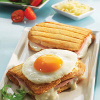 Snack Collection Box 1 – toastplader