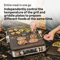 CG9167 multigrill