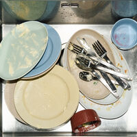 Legio Nova Palette lunchtallrik 22 cm, gul