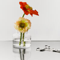 Meadow vas 11,5 cm, klarglas