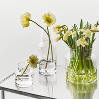Meadow vas 11,5 cm, klarglas
