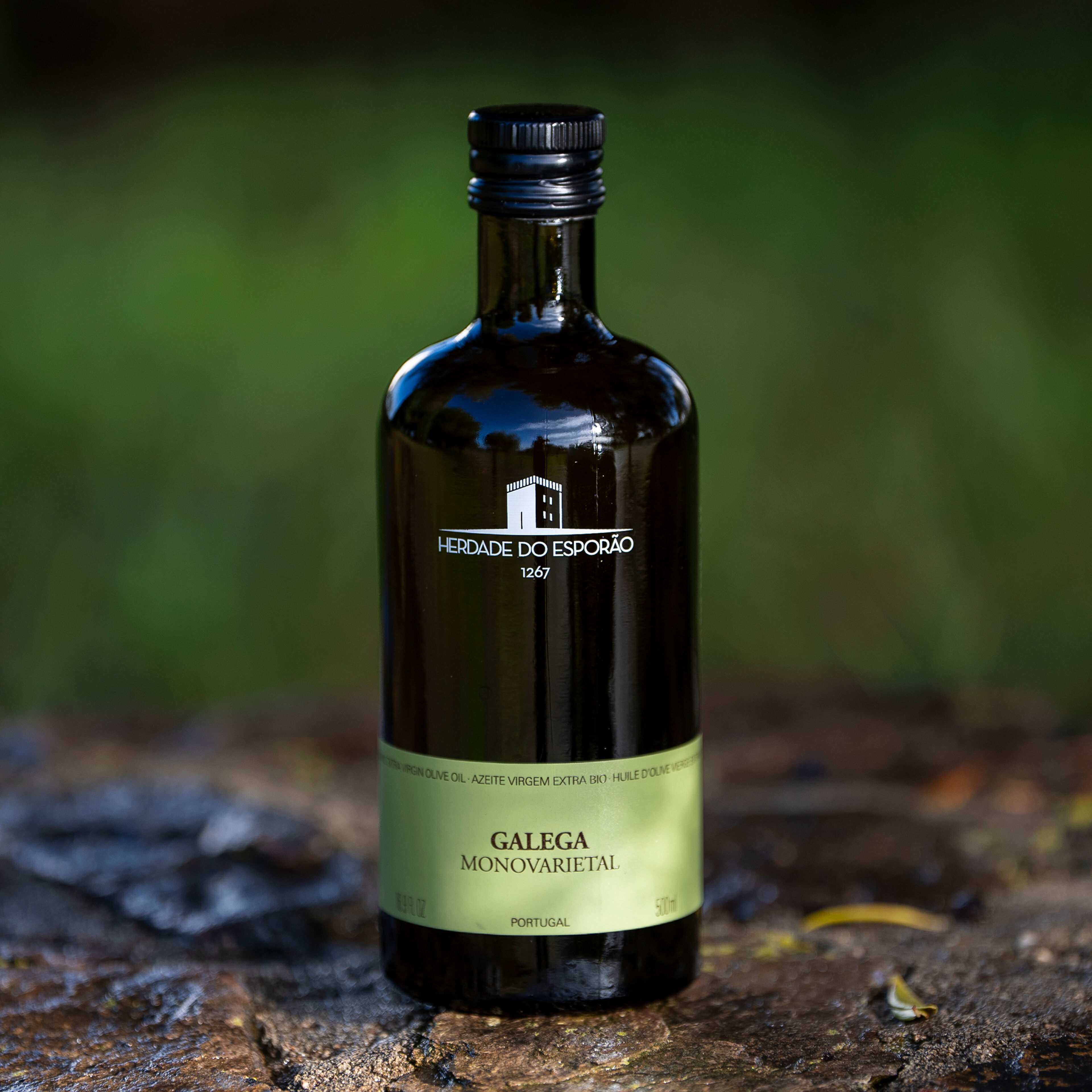 Galega olivolja 500 ml
