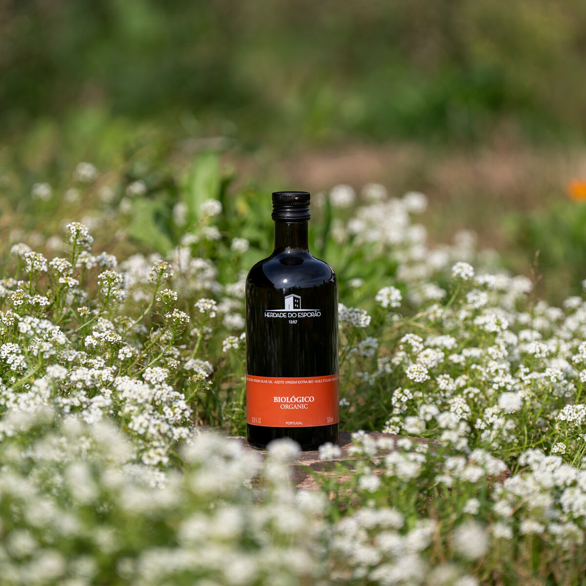 Alentejano olivolja 500 ml