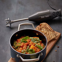 Stavmikser By Tareq Taylor 200 W, anthracite