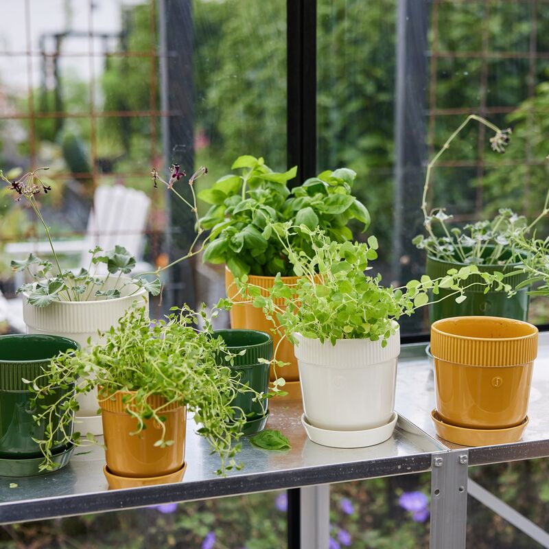 Elise örtkruka 11 cm, grön