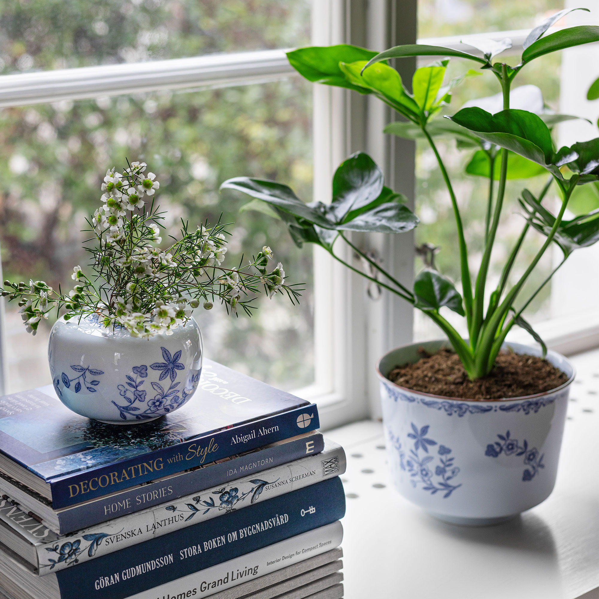 Ostindia kruka 20x15 cm