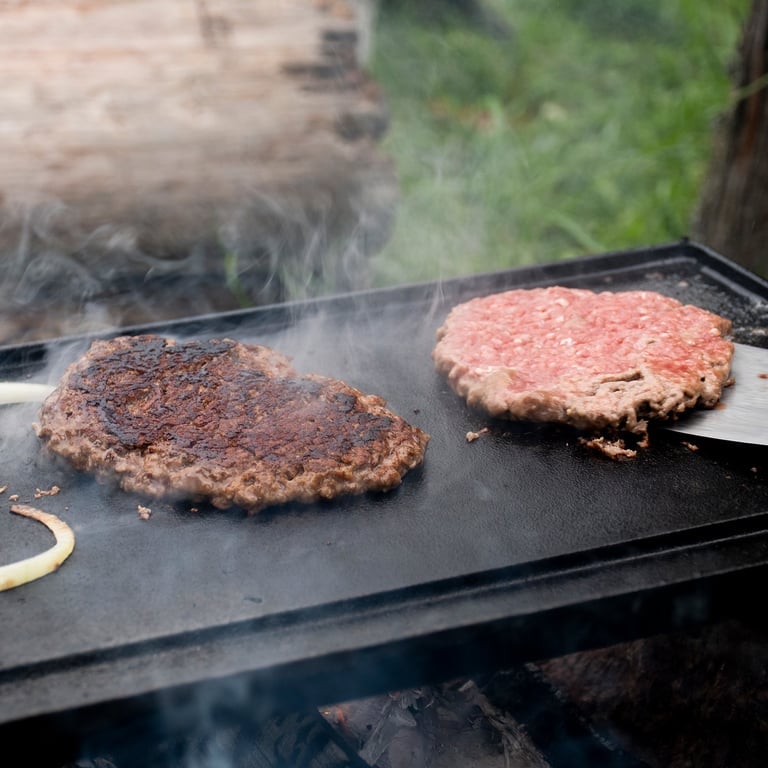 Grillplade/stegebord vendbart