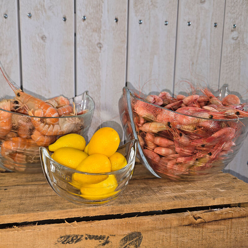 Nybro Bohus Räktrålare skål glasbruk 