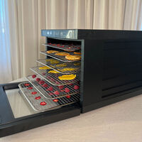 NOD Dehydrator Pro med nonstick-matter