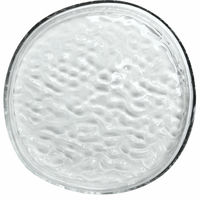 Gry fat 28 cm, clear
