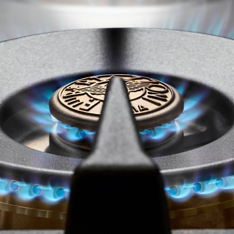 PRO96L1ENET Professional gaskomfur med ovn, 90 cm, sort