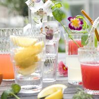 Opacity highball-lasi 43 cl 2-pakkaus, kirkas