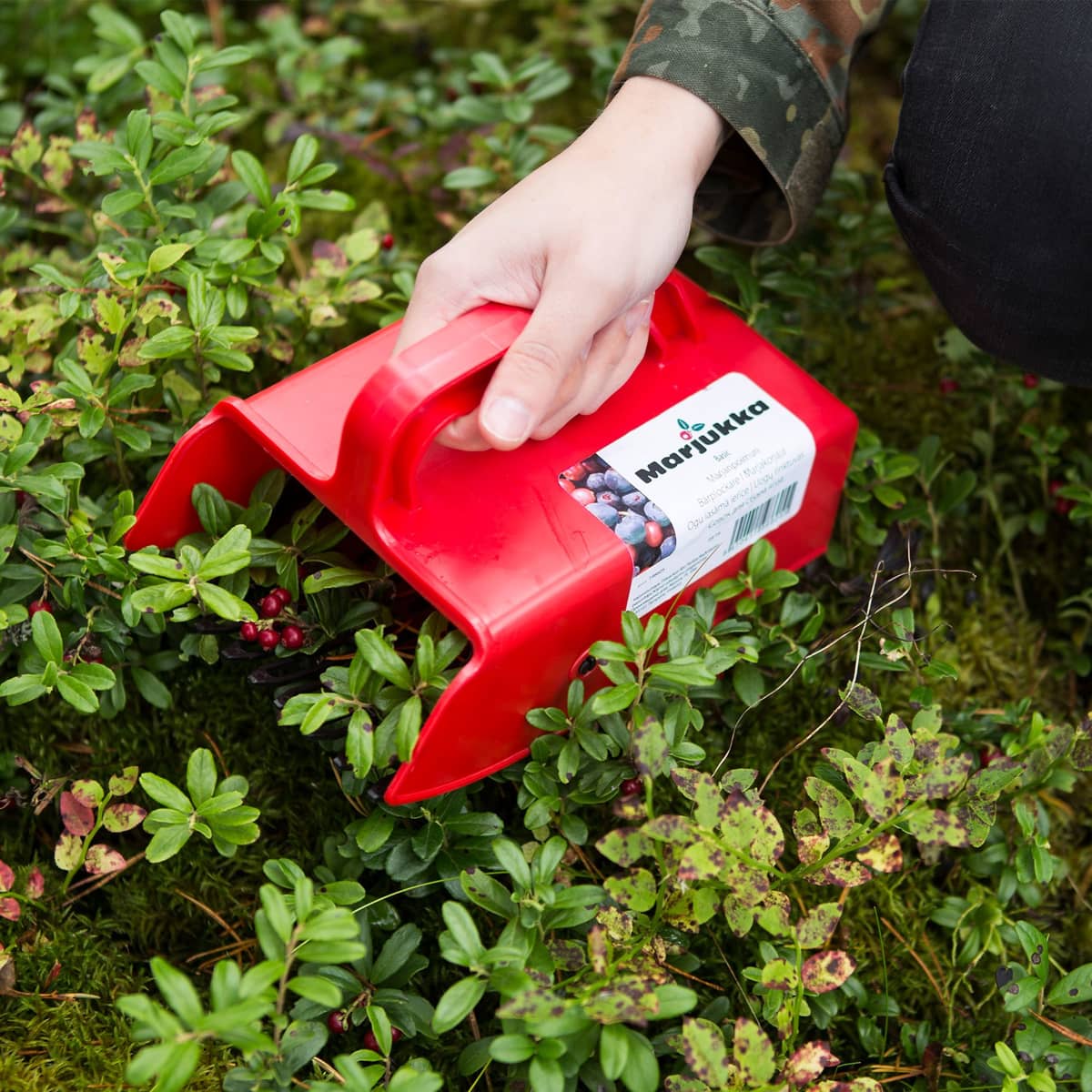 Basic bærplukker med plastgitter
