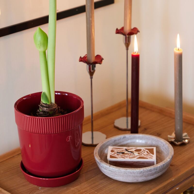 Elise kruka med fat, 14 cm