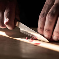 Miyabi Koya Skalkniv 9 Cm