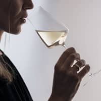 The Moment champagneglas 37 cl, 2-pack