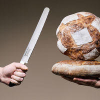 Sekiryu Master Brödkniv 25 cm