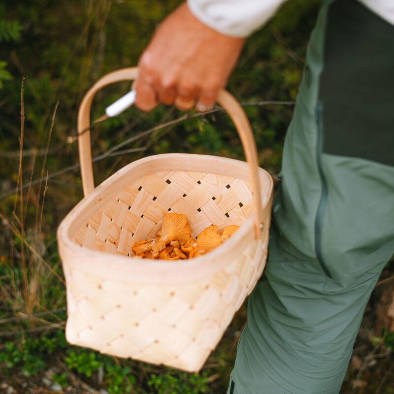 Marjakori large 3 kpl