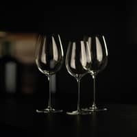 Enoteca Chardonnay vitvinsglas 41 cl, 2-pack