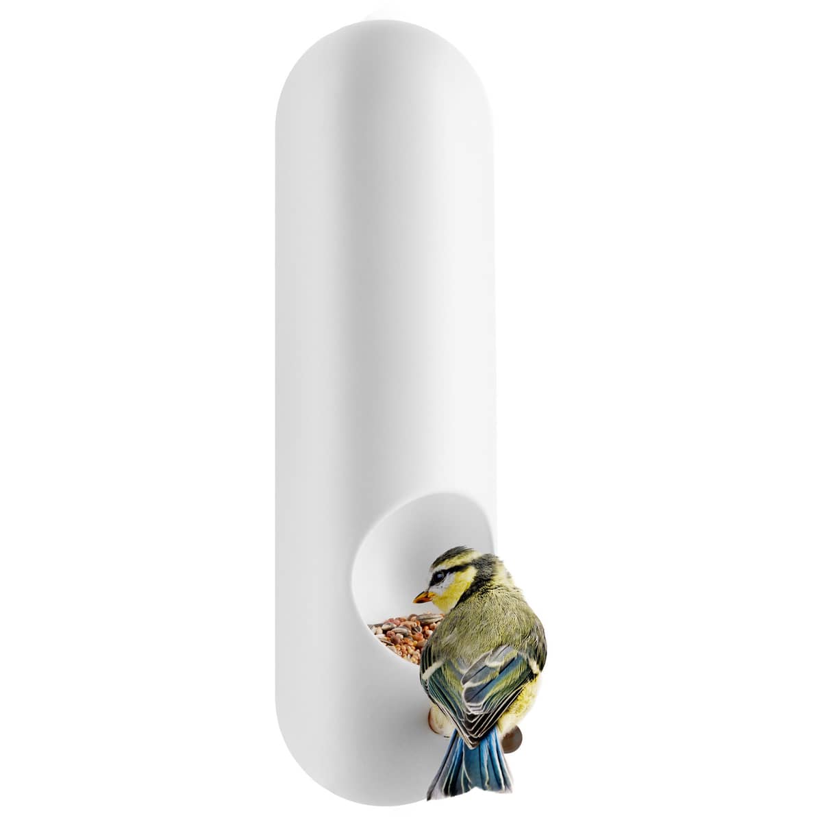 Væghængt fuglefoderrør