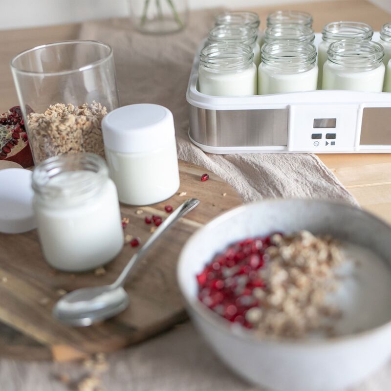 Steba Youghurtmaker 12 Lasilla