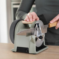 Tormek T-1 Kitchen Knife Sharpener, ash green