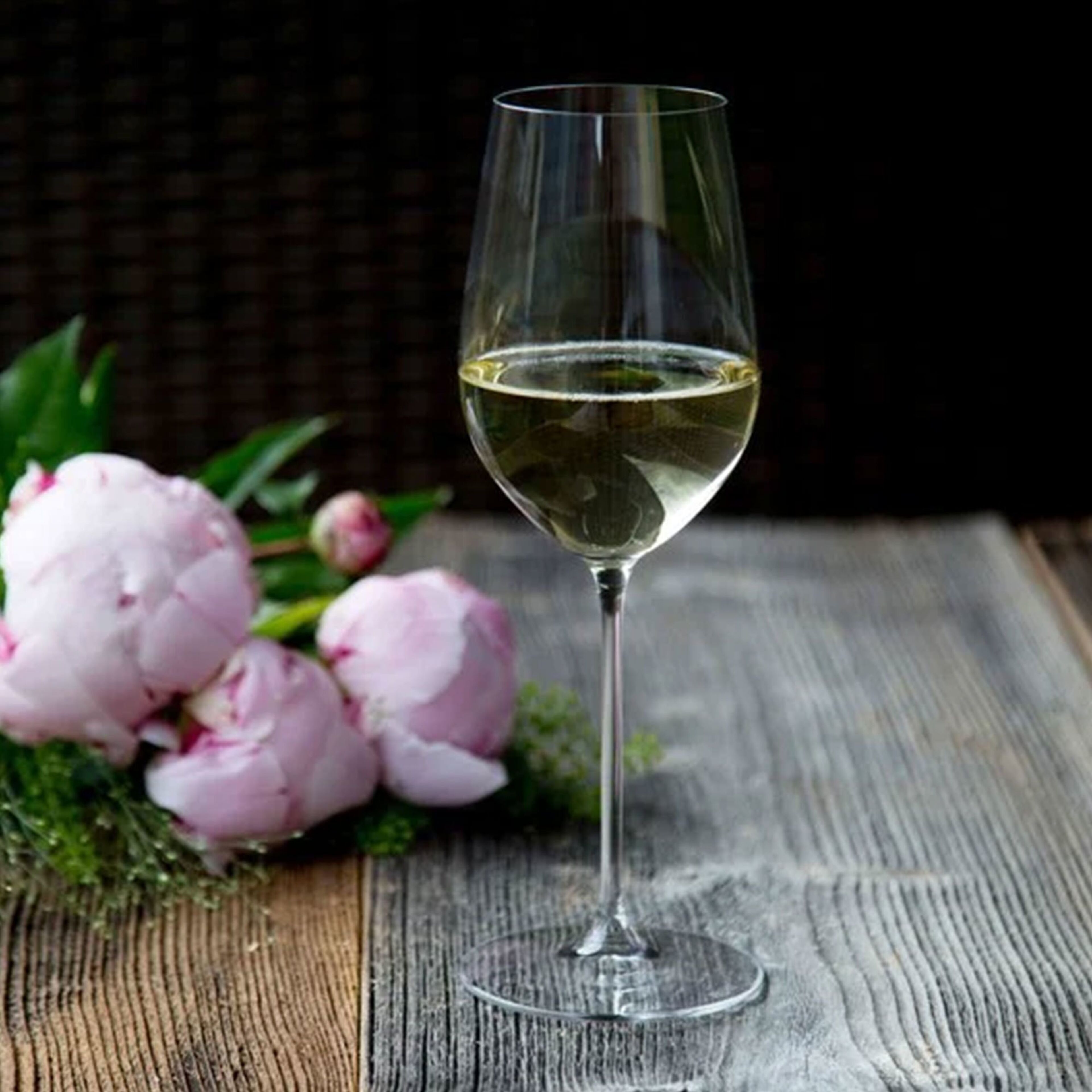 riedel-r-6449-154pack-64253-4