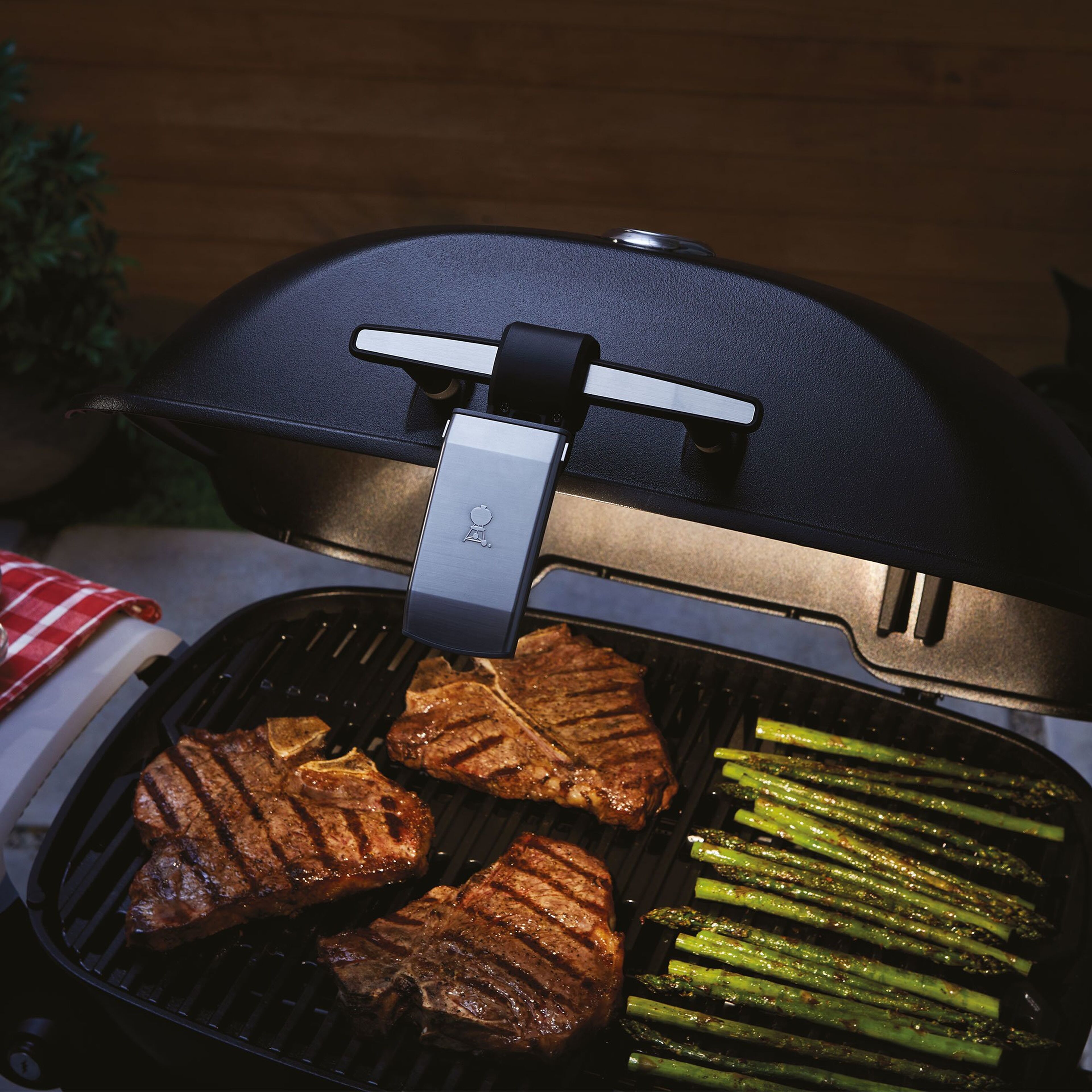 weber-3400862-66825-6