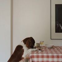 Bertel duk 250x145 cm, brun/aprikos