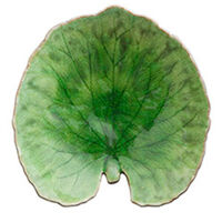 Riviera Alchemille serveringsfat 17 cm