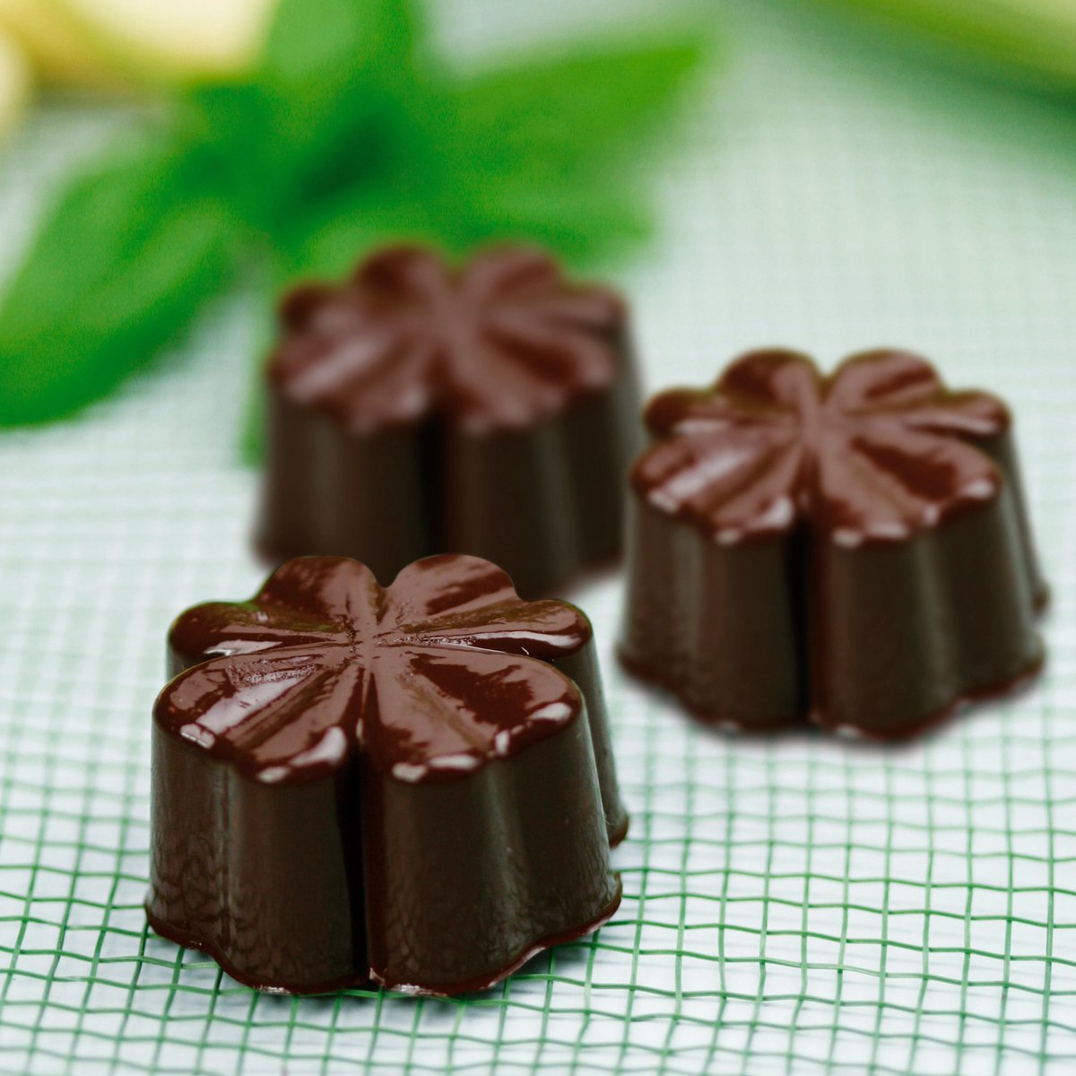 Easy Choc -praliinivuoka, fleury