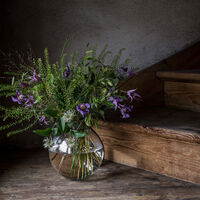 Bubblig lasimaljakko 22 cm