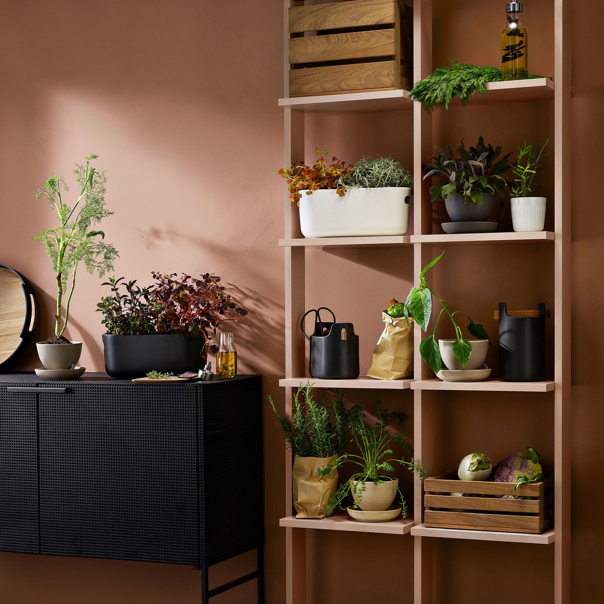 Selvvandende Herb Organiser Hvid