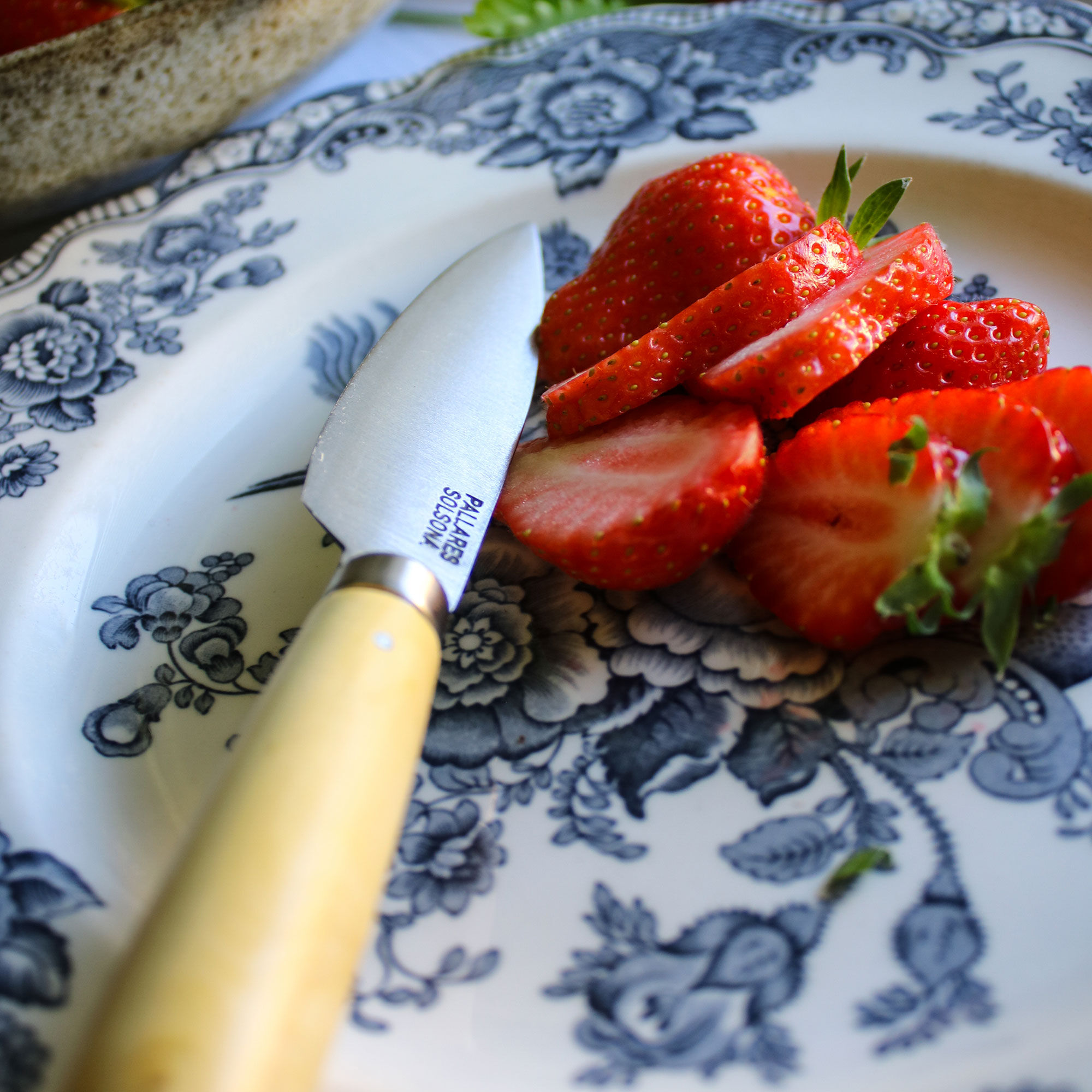 Pallarès Tradisjonell Kjøkkenkniv 9 cm