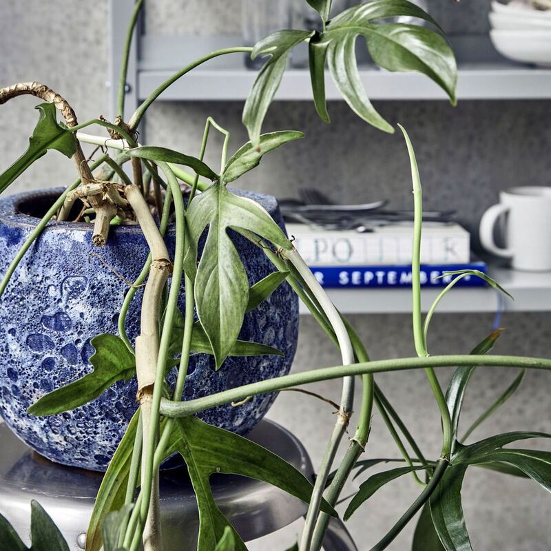 Pavi kruka Ø28 cm, blå